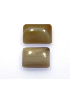 Cabochon - Two Agates (CAB09)