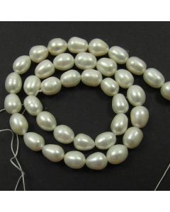 Freshwater Rice Pearls